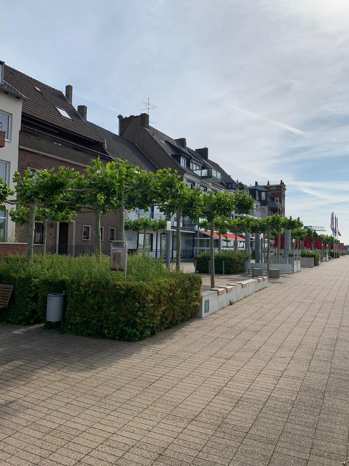 Groene wandelstrook aan de Rijnpromenade